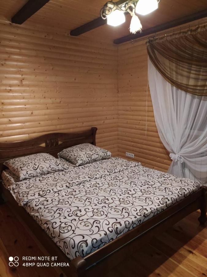 Pilipets Карпатські Зоріヴィラ エクステリア 写真