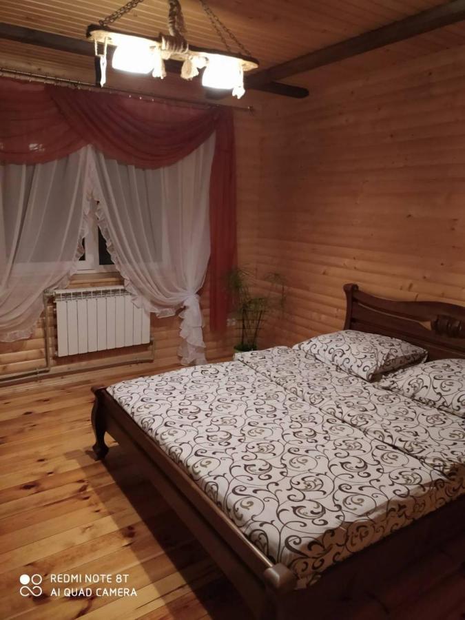 Pilipets Карпатські Зоріヴィラ エクステリア 写真