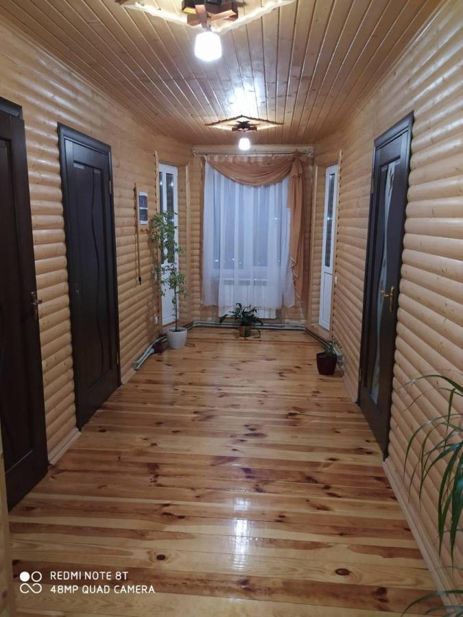 Pilipets Карпатські Зоріヴィラ エクステリア 写真